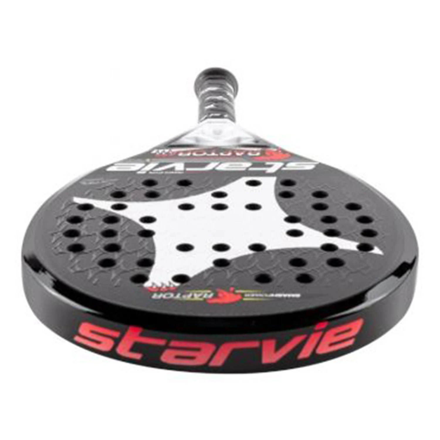 Raptor 2021 - Image 5